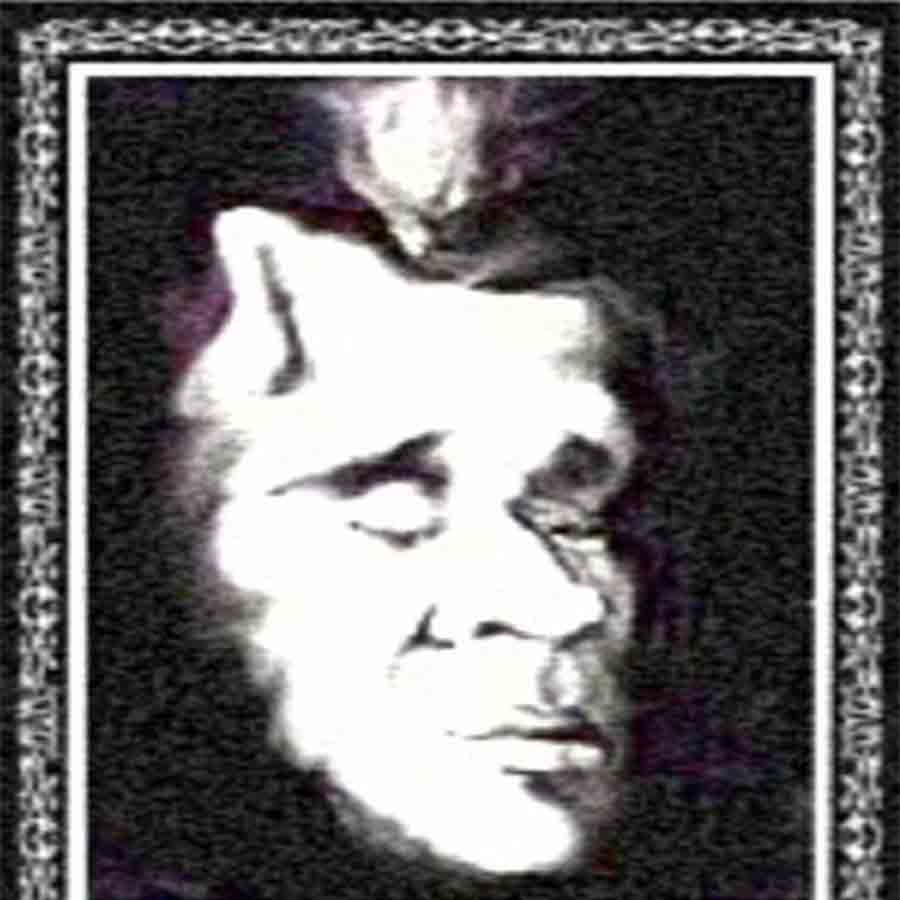 Insanitys Signature