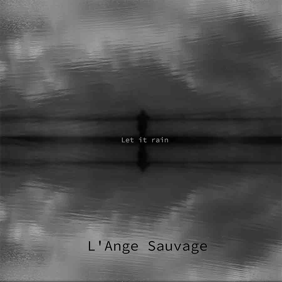 L`Ange Sauvage