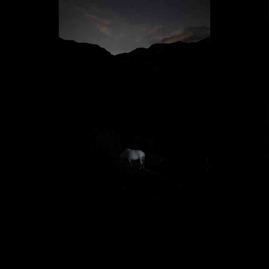 Devil's trumpet EP